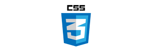 CSS